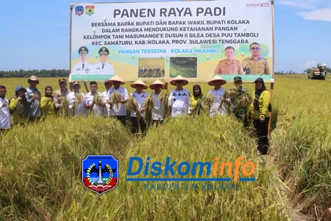 PANEN RAYA PADI BERSAMA BUPATI DAN WAKIL BUPATI KOLAKA