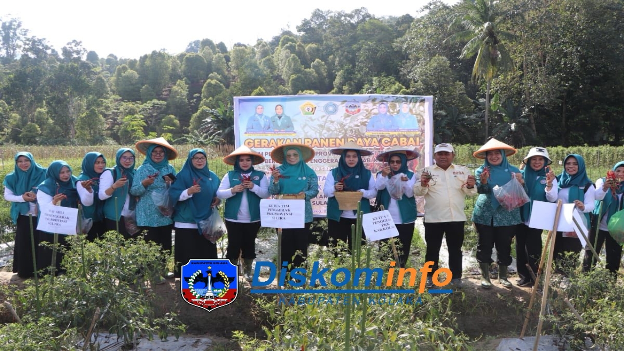 SOSIALISASI