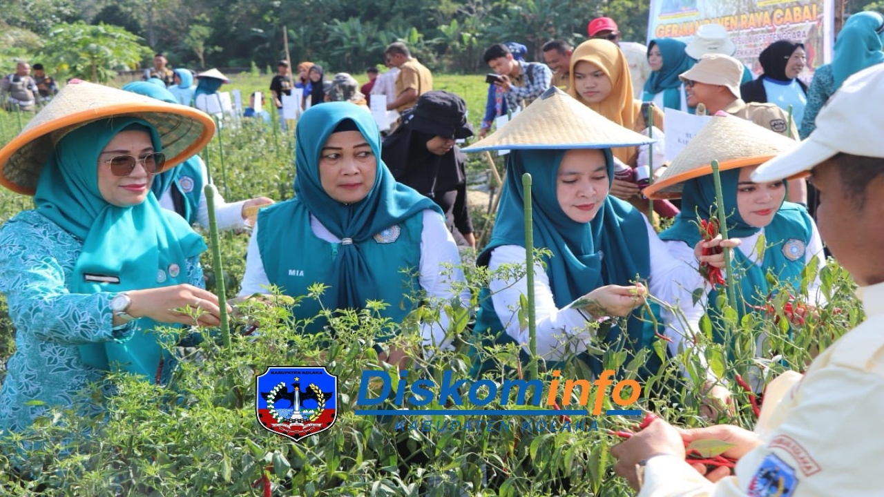 PELATIHAN PENGOLAHAN CABAI BERSAMA TP PKK PROVINSI SULTRA 