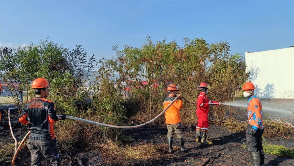 BPBD dan Damkar Kolaka Tangani Kebakaran Lahan di Kelurahan Laloeha
