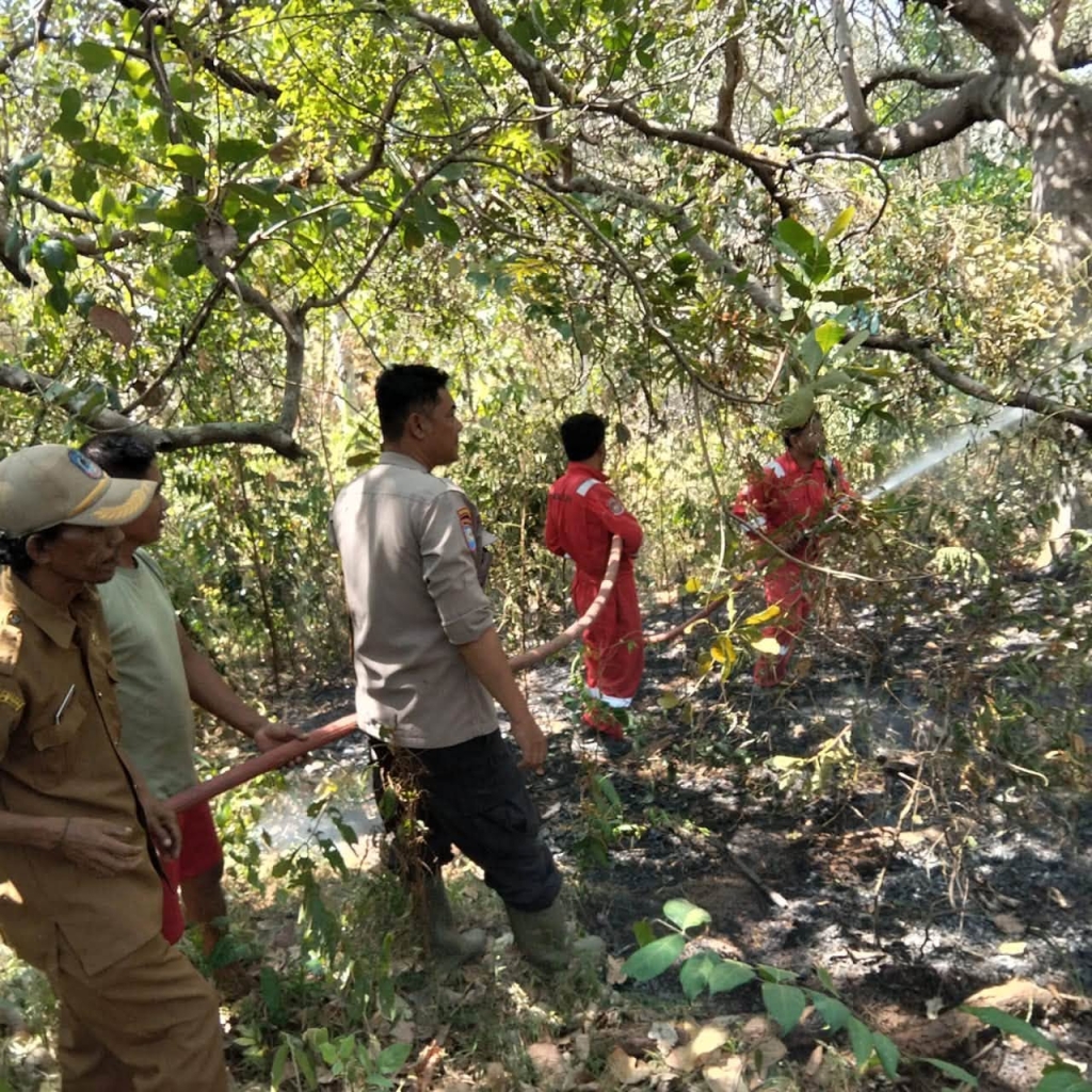 Kebakaran Lahan 1 Hektare di Watubangga Berhasil Dipadamkan