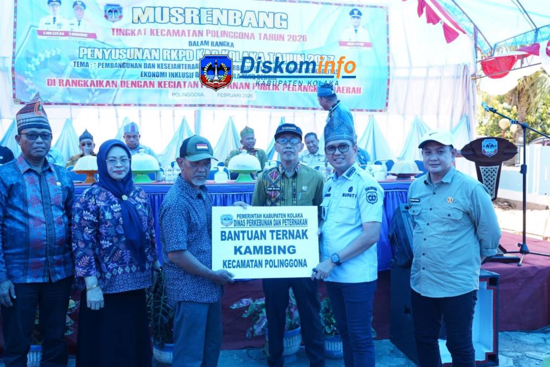 Berita