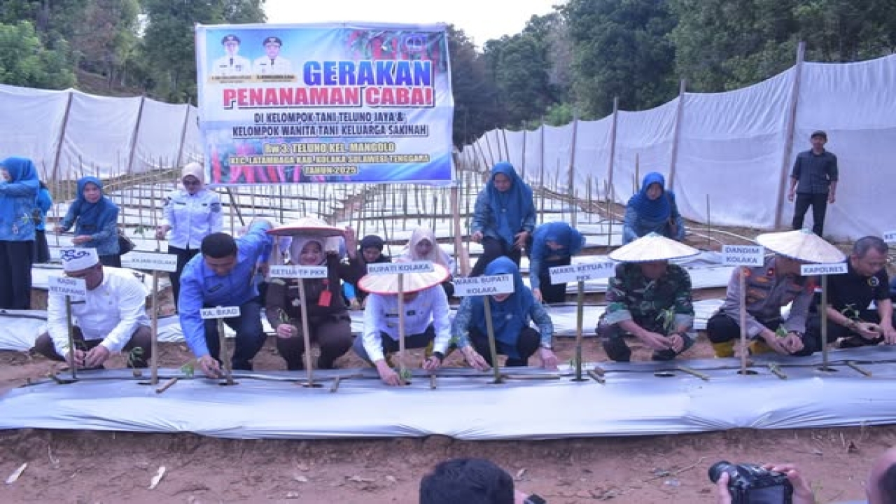 Berita